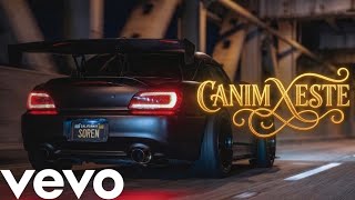 Furkan Soren - Eternal Canim Xeste Bu Üreyin Derdi Sensen (Original Mix)