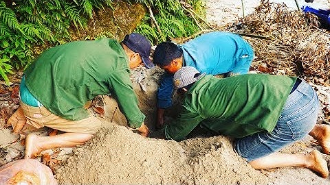 BÍ MẬT SÔNG ĐÀ • Ký Sự Rừng Già III - Tập 3