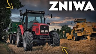 Żniwa 🌾 MF & NewHolland🚜AVENOX screenshot 3