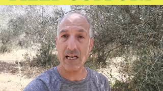 21St Century Field Support