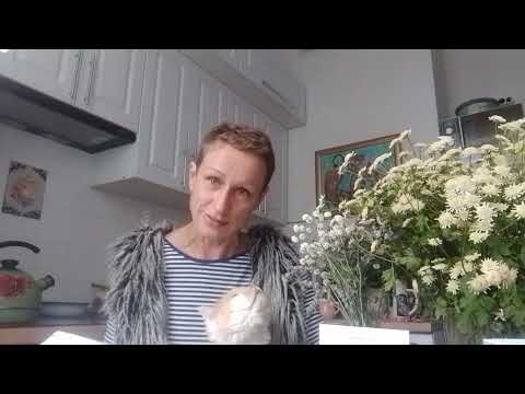 Читаем книгу по кинезиотерапии о ревматоидном артрите, ч.1