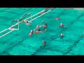 Men's Water Polo | Pepperdine Breezes by Air Force 16-11