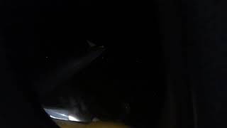 Night landing at Palma de Mallorca Airport (PMI/LEPA) in a A320 of Vueling