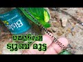 ഇങ്ങനെ ഒരു മുട്ട നിങ്ങൾ ജീവിതത്തിൽ കണ്ടിട്ടുണ്ടാവില്ല..