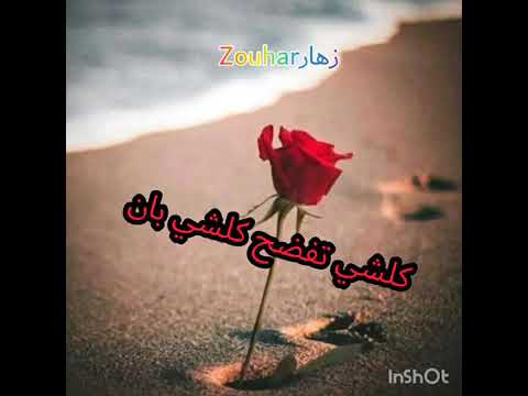 كلشي تفضح كلشي بان