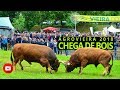 Chega de Bois Agrovieira 2018