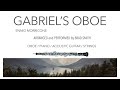 Capture de la vidéo Gabriel's Oboe - By Ennio Morricone - Arranged And Performed By Brad Smith