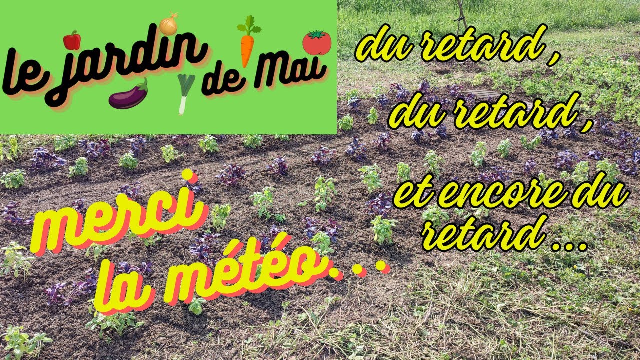 jardin de mai : du retard dans les plantations ... merci la meteo !!!