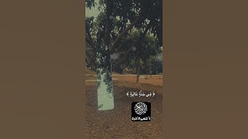 تلاوة تصعد بك الى عنان السماء  رائعة ستعيدها اكثر من مرة🌹