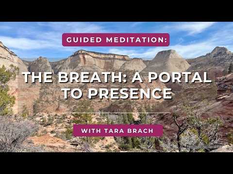 ▶ Tara Brach · Guided Meditation: The Breath — A Portal to Presence
