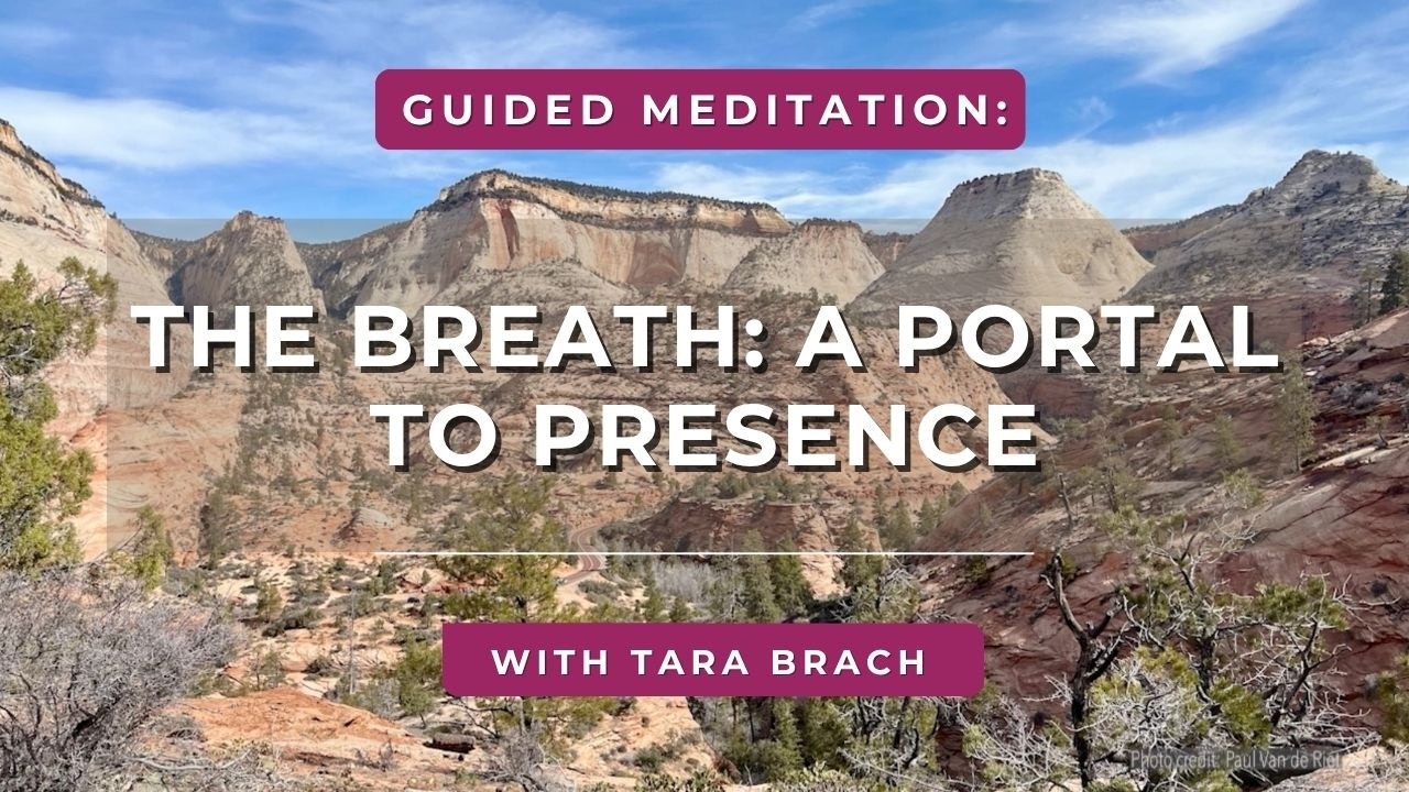 Guided Meditation: The Breath - A Portal to Presence | Tara Brach