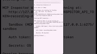Does MCP Inspector Run Locally Official MCP Debugger Test