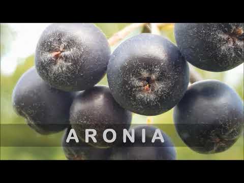 Video: Aronia: Metode De Creștere A Arborelui