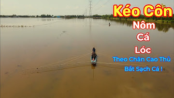 Săn Bắt Cá Lóc Mùa Nước Nổi Kéo Côn Nghề Mưu Sinh Miền Tây|Đất Miền Tây Official