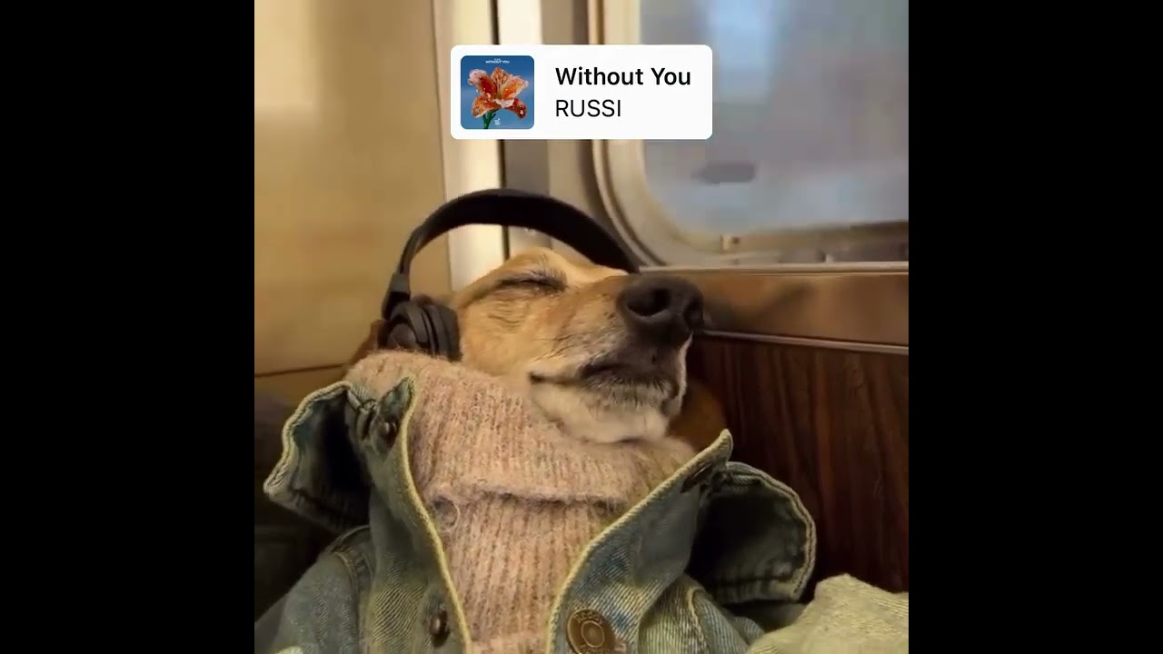 Mood: Stuck in the weekend!!💆🏻♂️