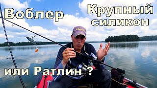 На что лучше клюёт в жару  Воблер, Крупный силикон или Ратлин