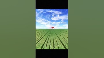 Dreamcore/Weirdcore Edit - Song - Xori Warm Nights