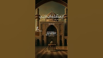 تلاوة تفتح لك أبواب الراحة النفسية – من القرآن الكريم القارئ الشيخ سعد الغامدي