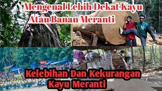 Kelebihan Dan Kekurangan Kayu Meranti