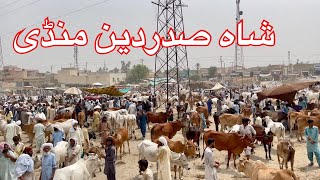 Eid special vlog shah sadar din Dgkhan