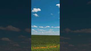 ЗНАКОМОЕ ли ПОЛЕ!? #shorts #windowsxp #xp #windows #саратовскаяобласть