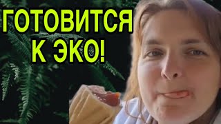 видео: ГАГО ГОТОВИТСЯ К ЭКО. VREDINA LIFE. ОБЗОР.  картинка: ГАГО ГОТОВИТСЯ К ЭКО. VREDINA LIFE. ОБЗОР.