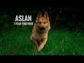 Aslan 1 year together | german shepherd