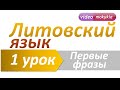 Литовский язык | 1 урок | Первые фразы. Ежедневные предложения на литовском языке