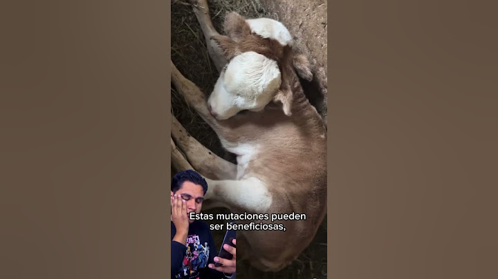 Las mutaciones en los animales #datosquenosabias #curiosidades