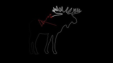 Numerical Fourier expansion of a moose