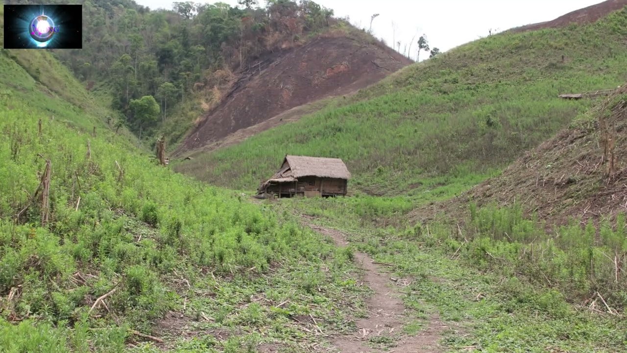 NKAUM HAV ZOOV RAUG NYAB LAJ TUA