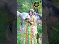 Mea Ha Ker Chei Ket Poshe Daswanai  #shorts #viral #viralshorts #viralshortsvideo #kashmirifolksongs