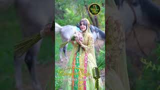 Mea Ha Ker Chei Ket Poshe Daswanai  #shorts #viral #viralshorts #viralshortsvideo #kashmirifolksongs