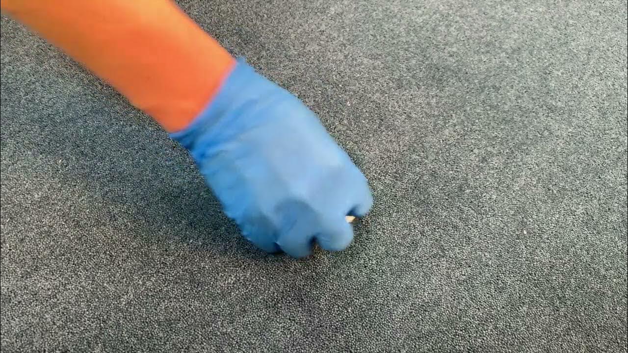How to remove egg from carpet Your stepbystep guide YouTube