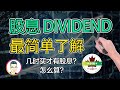 新手投資｜簡單輕松了解股息Dividend！幾時買才能領股息！美股的股息不斷成長！｜小枫NC