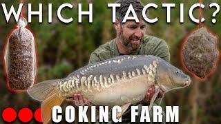 CARP FISHING - Solid Bags Vs Method Feeder