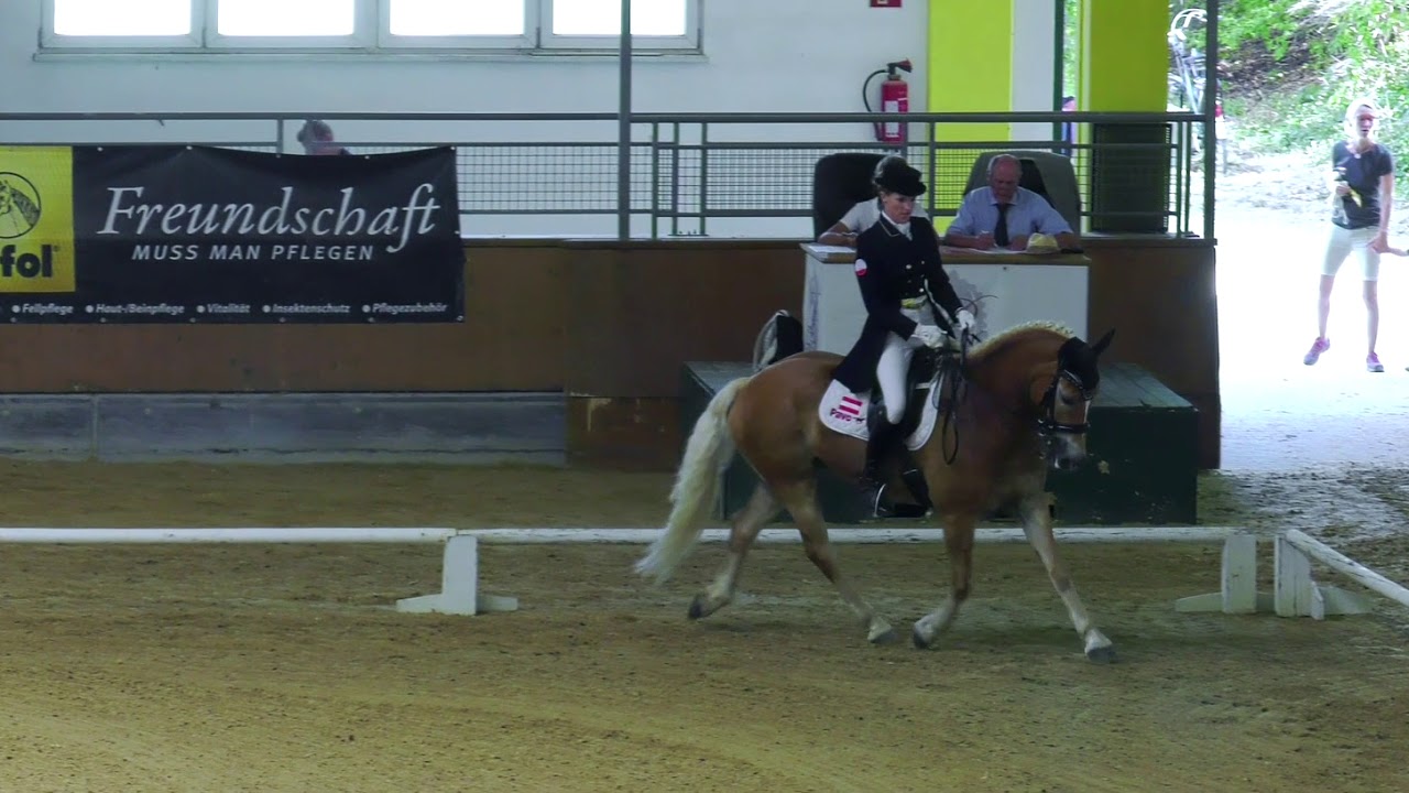Haflinger-Europachampionat 2018 – Impressionen im Film (2)