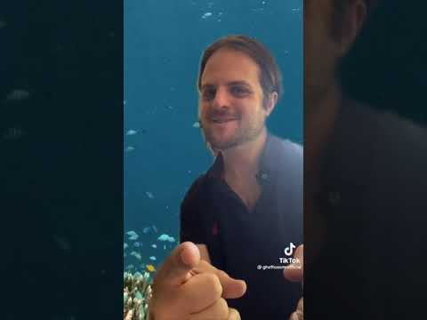 Ghettoasmr tiktok comp 1
