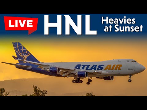 LIVE HAWAII SUNSET PLANE SPOTTING - HNL / PHNL - 7/4/2025