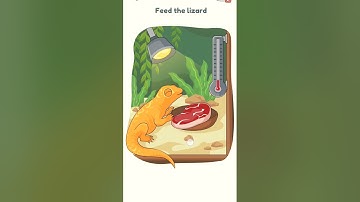 DOP 3  LEVEL  13 🧐