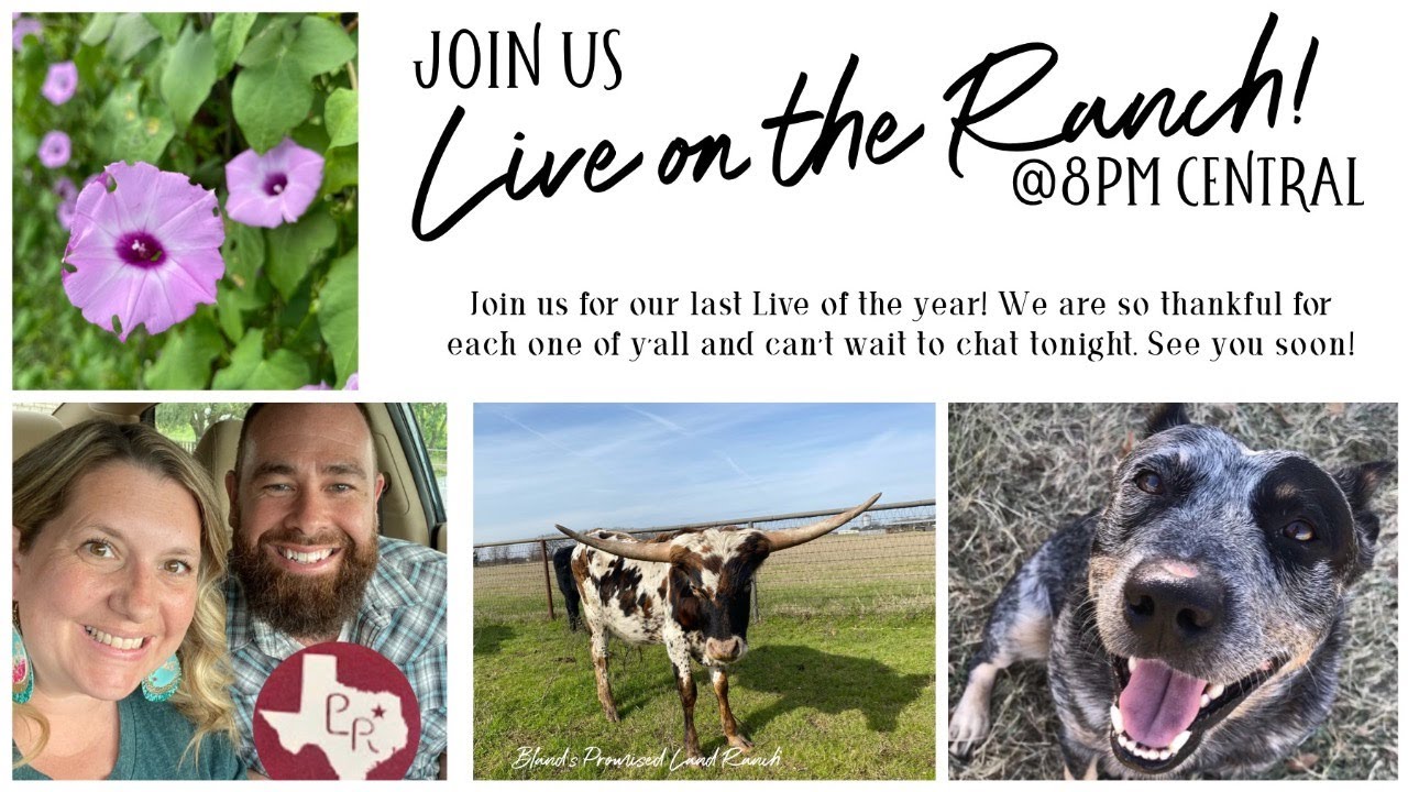 Off The Ranch Youtube Live on the Ranch! - YouTube