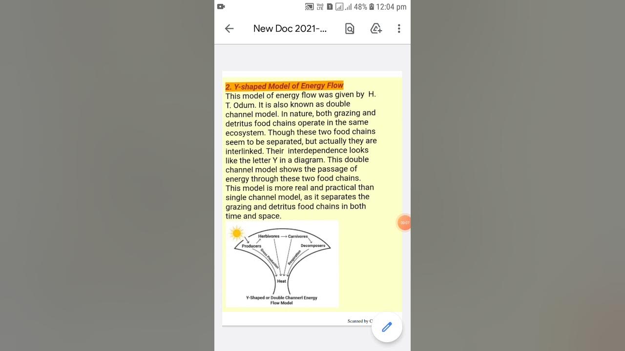 11TH EVS .Y SHAPED ENERGY FLOW MODEL - YouTube