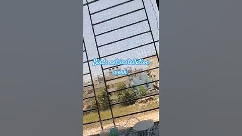 bird net installation work #trending #shortsviral #viral #shortsfeed #public #youtubeshorts #please