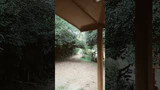 parece que va llover , apoyenme les traeré nuevos videos