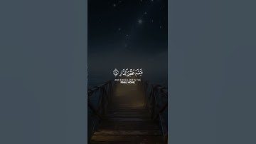 سلام عليكم بما صبرتم 🎧🤍 قرآن كريم _ القارئ أحمد النفيس