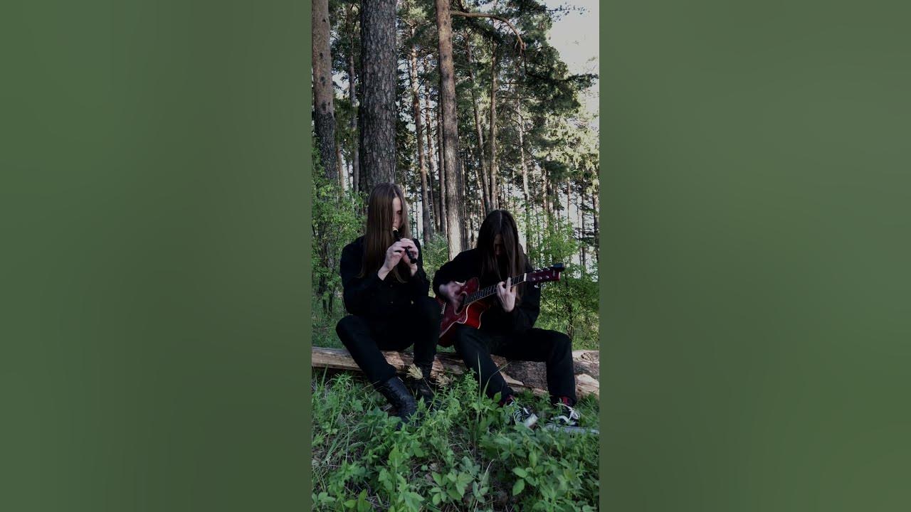 Burzum - Dunkelheit cover #blackmetal #guitarcover #flute #metalhead #burzum #vargvikernes Burzum - Dunkelheit cover #blackmetal #guitarcover #flute #metalhead #burzum #vargvikernes