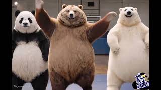 Dancing Bear Steals the Show bear #dancingbear #funnyanimals #viral #cuteanimals