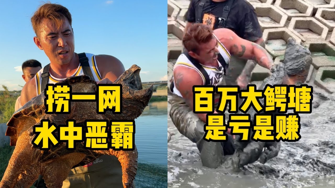 华哥和小飞哥花100000元在鳄龟塘拉一网，看看到底能赚多少钱？｜华哥和小飞哥盘下百万大鳄龟塘，看看到底是亏还是赚？