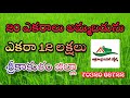 Agriculture land for sale in srikakulam  7032068722  uttarandhra real estates 20 