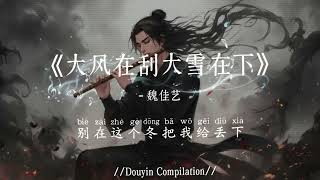 Download Lagu 魏佳艺 - 大风在刮大雪在下 (抖音完整版) Da Feng Zai Gua Da Xue Zai Xia『大风在刮大雪在下，我好想念他，片片的回忆是我的伤疤』氛围感BGM｜抖音最火 MP3
